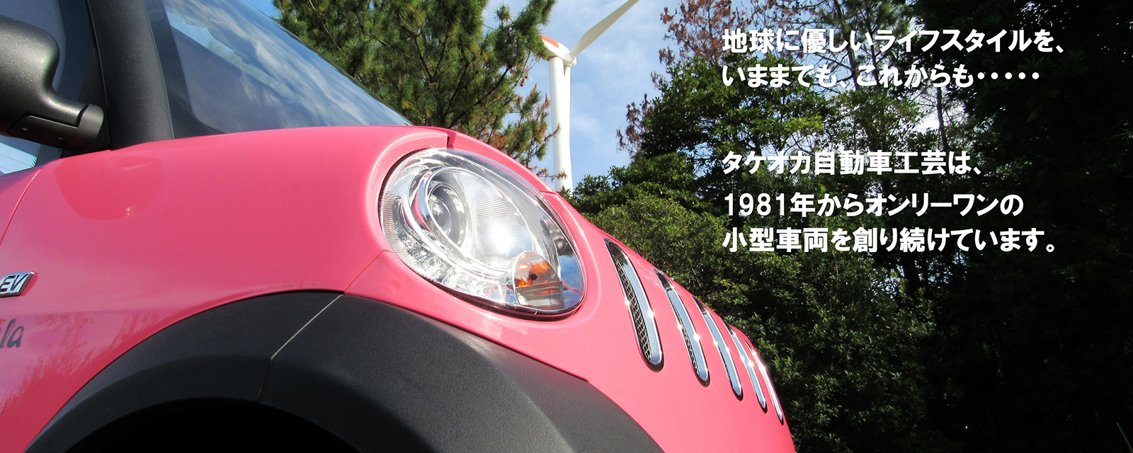タケオカ自動車工芸 ミニカー 小型モビリティ マイクロカー 富山市安養寺 タケオカ自動車工芸 ミニカー 小型モビリティ マイクロカー 富山市安養寺