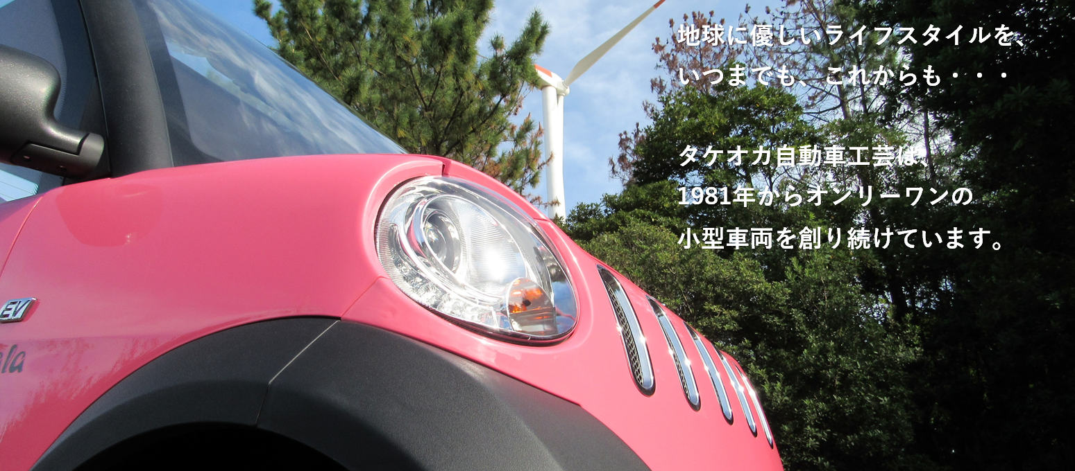 タケオカ自動車工芸 ミニカー 小型モビリティ マイクロカー 富山市安養寺 タケオカ自動車工芸 ミニカー 小型モビリティ マイクロカー 富山市安養寺
